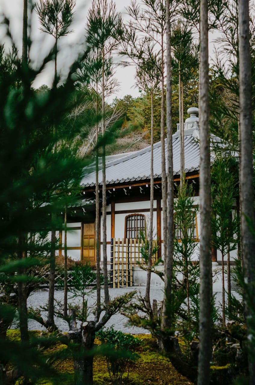 Превью Nara 2024